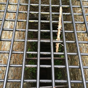 hajfan na vrcholu Jedová hora (17.9.2021 12:25)