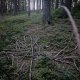 Radek Fuciman on peak Mizerov
