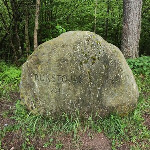 michalzhor na vrcholu Aukštojas (21.5.2024 18:34)