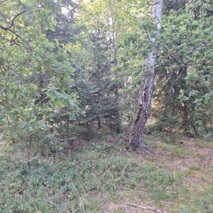 Cyklista 73 on the summit of U Pramene (1.9.2025 18:09)