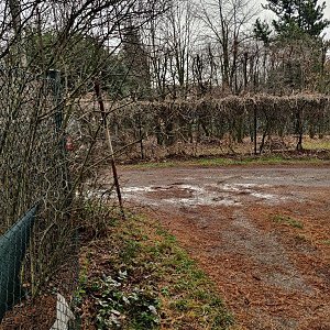 Pavel Martínek na vrcholu Nad Rybníkem (8.1.2020 9:45)