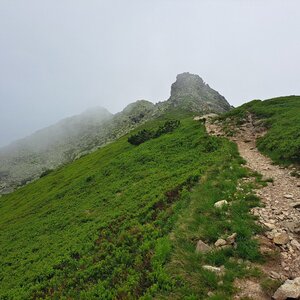 Horalka Anička na vrcholu Ornak (24.6.2024 14:42)
