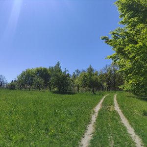 Vratislav Sejkora na vrcholu Budina (29.4.2026 14:37)