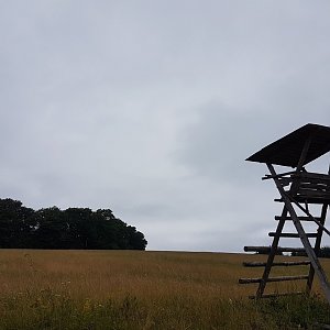 Marcela Kubíčková na vrcholu Horní Vysocka (2.7.2022 11:50)