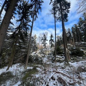 Mertelici na tripu na vrcholu Rybenské Perničky J (4.1.2026 14:17)