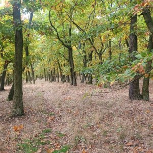 PA!WELL na vrcholu Bukovka  (16.10.2025 11:40)