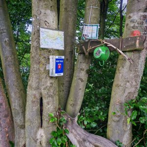 Šárka na vrcholu Holý vrch (2.8.2026 16:32)
