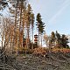 Šárka on peak Velký Javorník (19.10.2021)