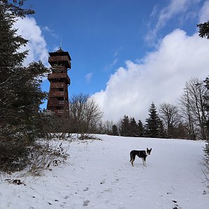 Manjula na vrcholu Velký Javorník (28.3.2023 12:28)