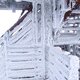 Alžběta Šlosarová na vrcholu Velký Javorník (1.12.2023)