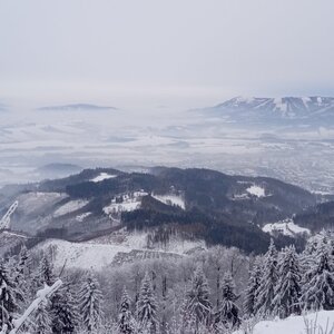 Alžběta Šlosarová na vrcholu Velký Javorník (1.12.2023 9:00)