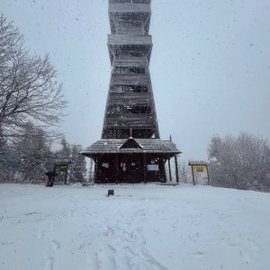 Jarča on the summit of Velký Javorník (12.1.2025 11:40)