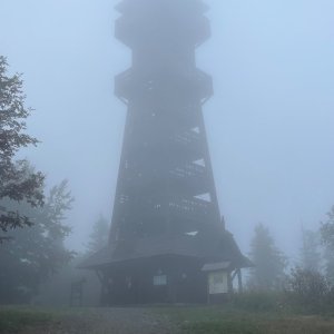 Miros na vrcholu Velký Javorník (7.9.2025 7:19)