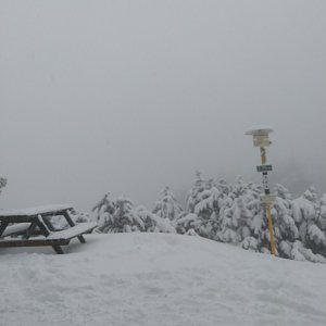 Johan Kocmich na vrcholu Velký Javorník (14.1.2021 14:25)