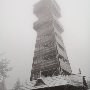 Ivka na vrcholu Velký Javorník (7.2.2021 11:15)