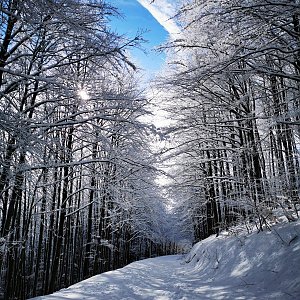 Vendula Schafferová na vrcholu Velký Javorník (31.1.2021 10:50)