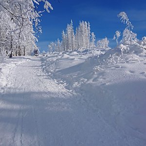 Veronika Dubnová on the summit of Velký Javorník (18.1.2021 11:51)