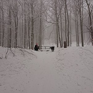 Veronika Dubnová na vrcholu Velký Javorník (17.2.2021 8:35)