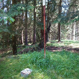 Nojby na vrcholu Besídka (6.7.2021 13:34)