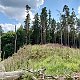 Nojby na vrcholu Nad Vodnou - S vrchol (10.7.2021 14:41)