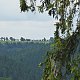 Nojby na vrcholu Nad Vodnou - S vrchol (10.7.2021 14:41)