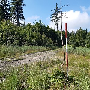 ZdenkaV na vrcholu Příslop (26.6.2021)