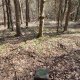 Miroslav Příhonský na vrcholu Malý Lopeník