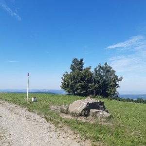 ZdenkaV on the summit of Velká Javořina JZ (9.8.2025)