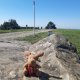 ZdenkaV on peak Velká Javořina JZ