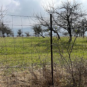 Radka D na vrcholu Léšť (10.4.2023 10:47)
