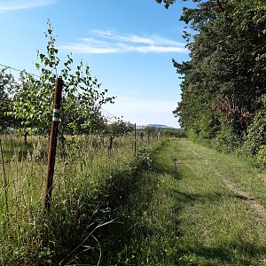ZdenkaV na vrcholu Léšť (28.6.2021)