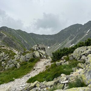 akam na vrcholu Spálená (30.6.2024 13:50)