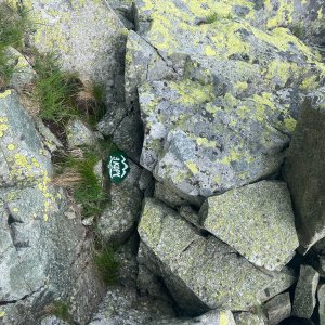 Nika K on the summit of Tri kopy (27.6.2026 11:03)