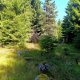 Tor na vrcholu Bradáčov (18.8.2025)