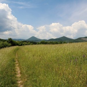 Dandy on the summit of Hrádek (31.5.2025 12:30)