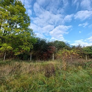 Cyklista 73 na vrcholu Malá Vendula (12.10.2022 9:04)
