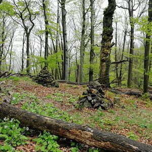 Vladimír Grančay na vrcholu Suchá hora (16.4.2024 16:03)