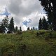 Nojby na vrcholu U Seníku - S vrchol (10.7.2021 14:03)