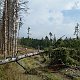 ZdenkaV na vrcholu Komora (16.7.2021 10:57)