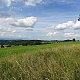 Nojby na vrcholu V Lesíčku (10.7.2021 17:14)