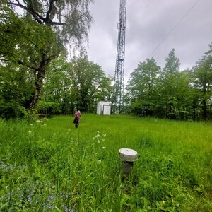 Mykas na vrcholu Malá Doubrava (21.5.2024 12:13)