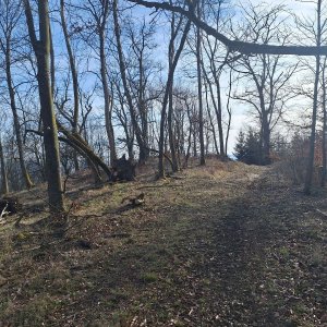 Cyklista 73 na vrcholu Kravař (21.3.2025 15:55)