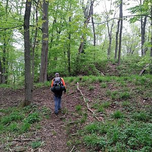 Švihovská vrchovina