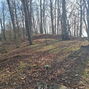 Cyklista 73 na vrcholu Příkopy (21.3.2025 15:42)