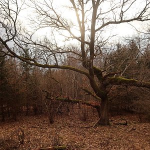 Bouřka na vrcholu Malý Kouřim (10.2.2022 15:10)