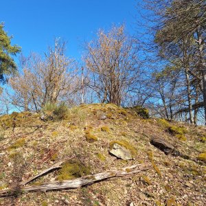 Cyklista 73 na vrcholu Malý Kouřim (20.3.2025 12:12)