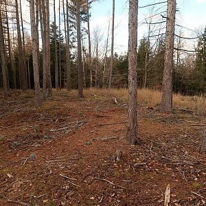 Bouřka na vrcholu Dubovka (10.2.2022 14:12)