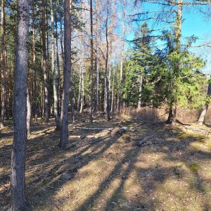 Cyklista 73 na vrcholu Dubovka (20.3.2025 10:00)