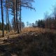 Cyklista 73 na vrcholu Dubovka