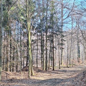 Cyklista 73 na vrcholu Hora - SV vrchol (2025)